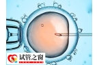 男性得紅斑狼瘡腎炎能不能做試管嬰兒